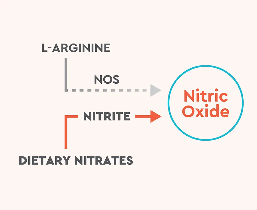 nitric oxide
